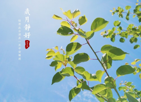 愿岁月静好，山河无恙